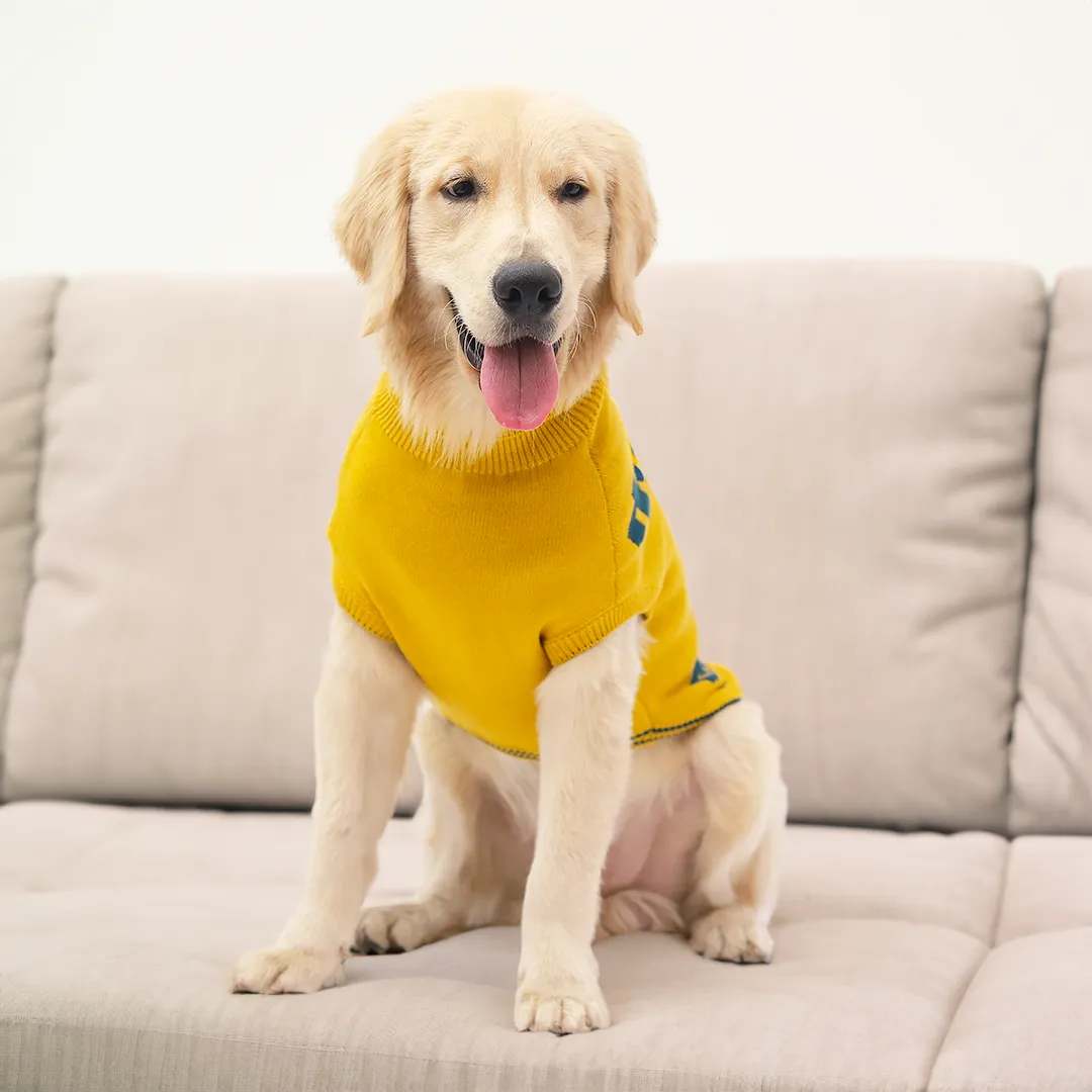 Bright & Cheerful Yellow Printed Dog Sweater